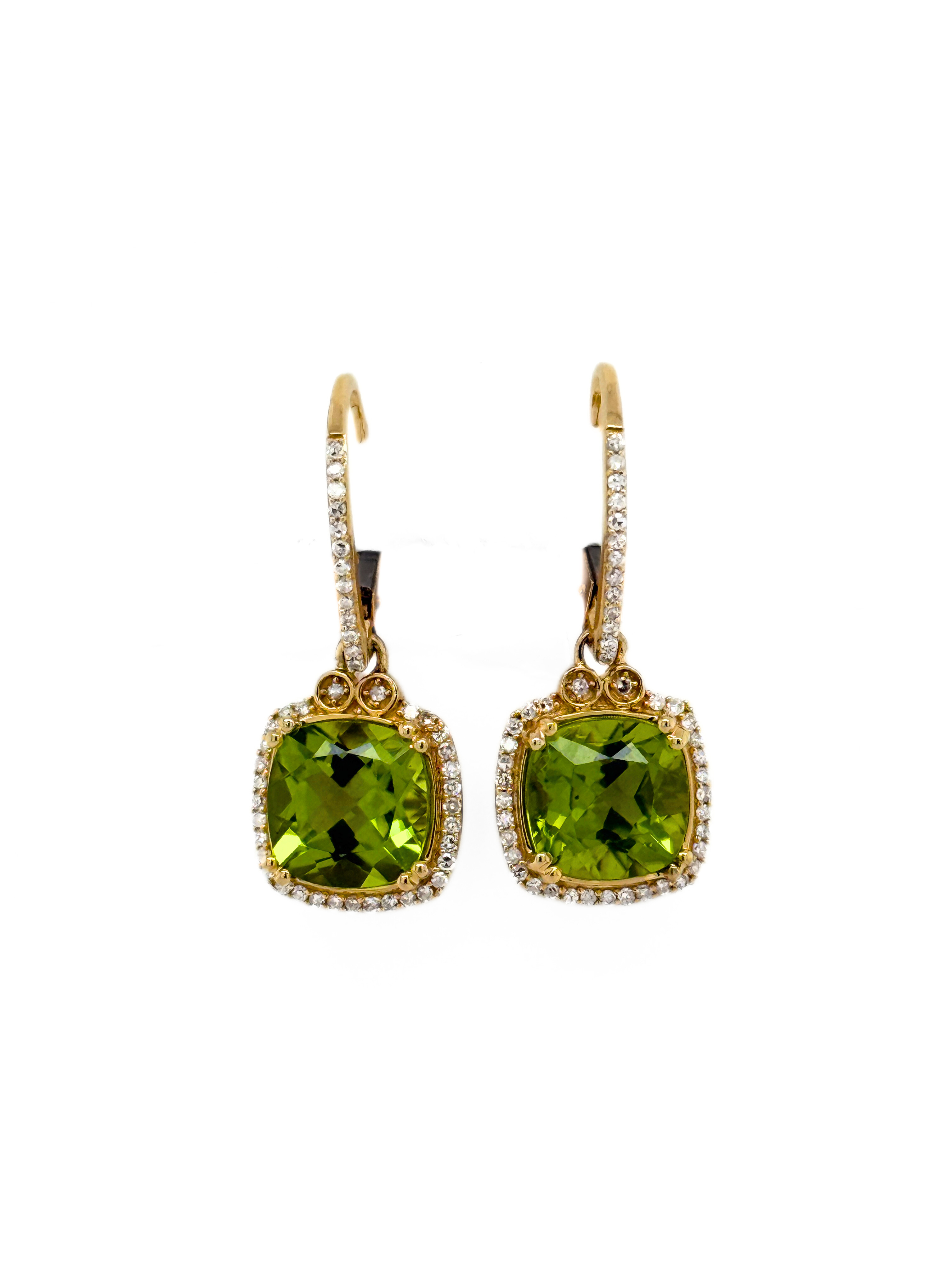 PERI DANGLE EARRINGS-401286